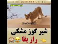 شیر گوژ مشکی راز بقا طنز بسیار خنده دار جهان دنیا ی شادی با محمد میکسر 