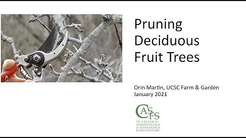 Pruning Deciduous Fruit Trees with Orin Martin