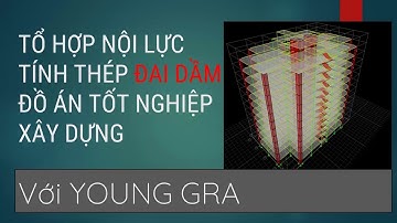 #5. Tổ hợp nội lực | tính thép đai dầm với YOUNG GRA liên kết ETABS