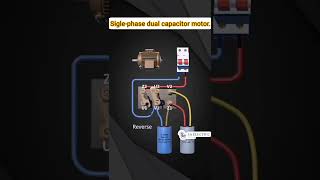 wiring of forward and reverse rotation of single phase dual capacitor motor. #shorts