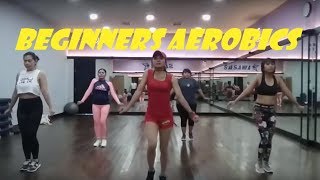 Beginner aerobic classes, 30 minutes gymnastics