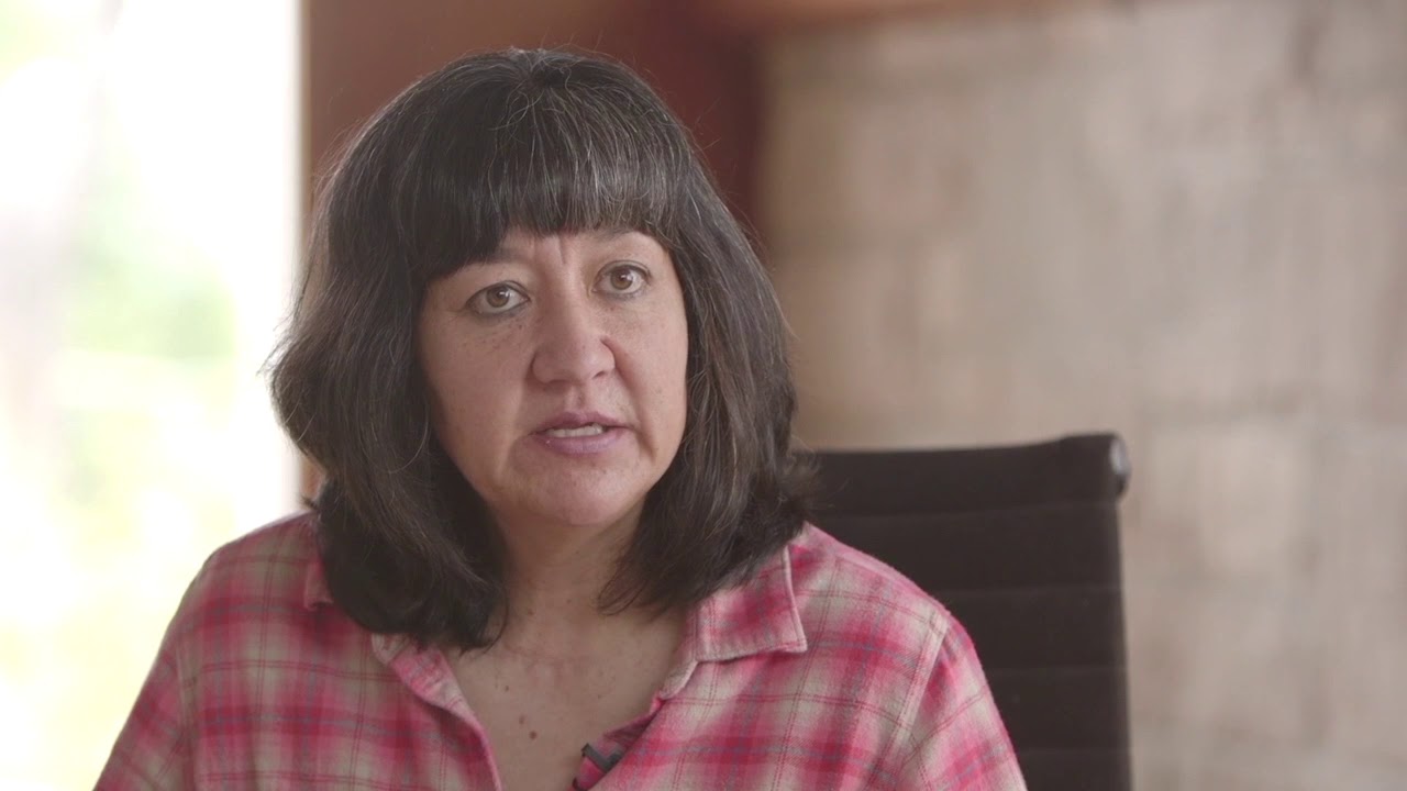 Greyhound Dog Rescue YouTube