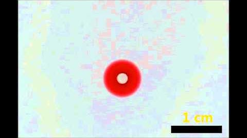 Droplet self-division