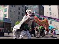 Lion & Dragon Dance @ Seattle Chinatown Dragon Fest 2017
