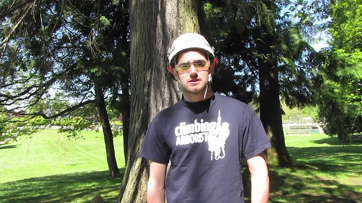 Tree rigging methods: How to Setup a 3 to 1 pulling system