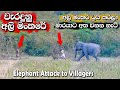        elephants attack to villagers attack