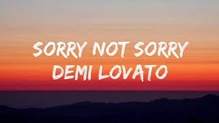 Demi lovato - Sorry Not Sorry (lyrics)