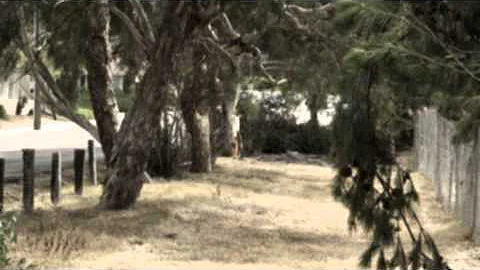 The History of Measure H