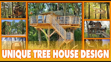 Unique Tree House Design Ideas 2022
