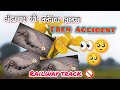 Dead animal🐂 on train track 😳| नीलगाय का एक्सीडेंट खतरनाक
