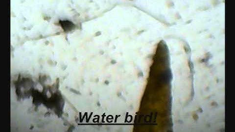 Trailer iGEM TUM at Kindergarten