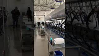 afimilk machine system