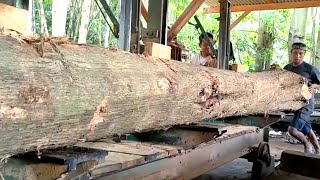 Download Lagu An impossible discovery in a 15-foot long teak log for house framing at a sawmill  MP3