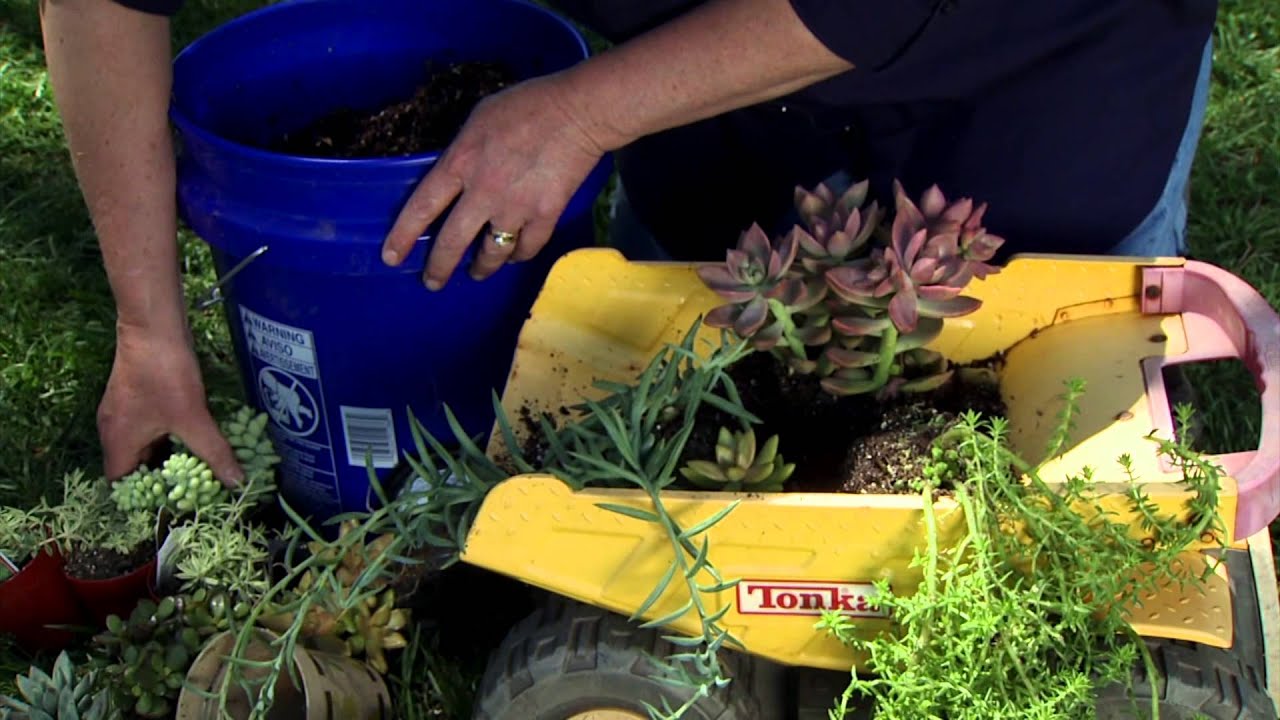 Full Show (6/20/15) 4151