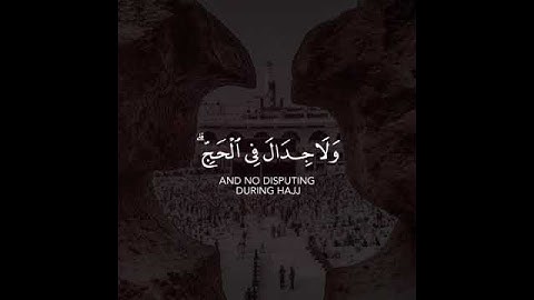 الحج أشهر معلومات فمن فرض فيهن الحج فلا رفث ولا فسوق ولا جدال في الحج ( القارئ صالح الانصاري )