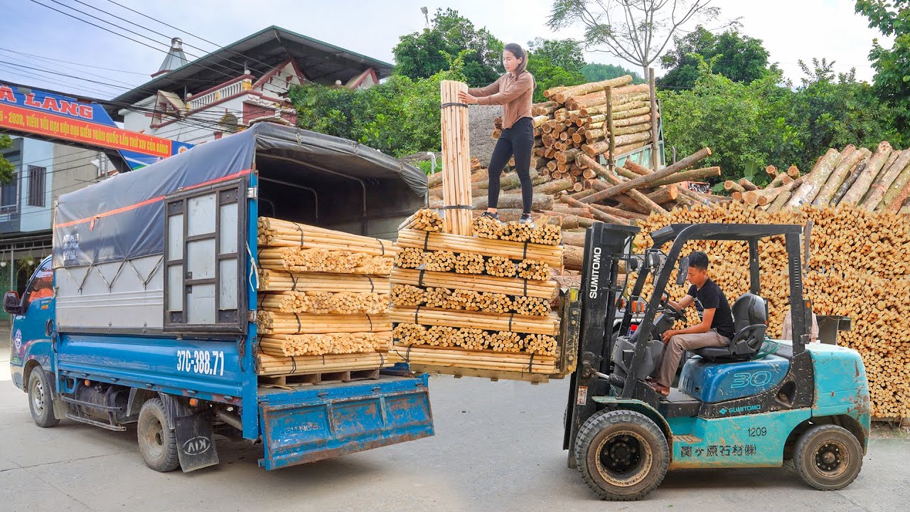 Use Truck to Transport Large Quantity of Small Wooden Bars from a Wood Factory to Sell