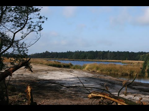 N R de Kampina Haarle N Brabant