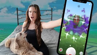 Raiding from My BEDROOM! | Shadow Registeel Remote Raid Hunting Purifiable Shundo