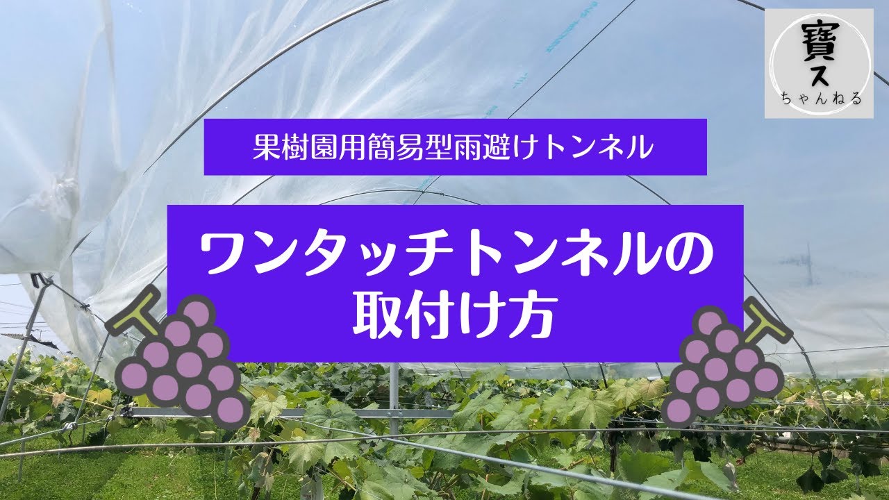 宝ステンレス オンラインショップ | 高品質・簡単設置の果樹園用雨よけ