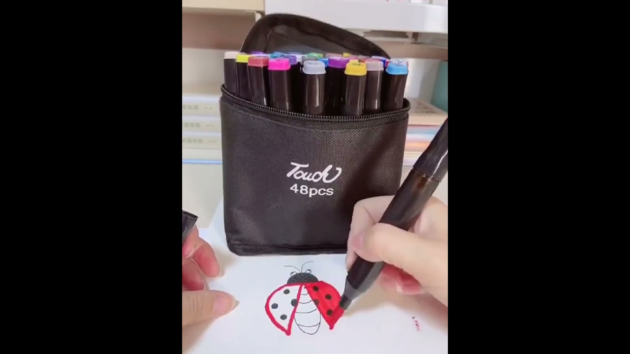 Kit Canetinhas 48 cores