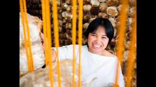Supporting evidence-informed policymaking in the Philippines