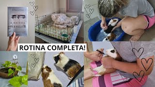 VLOG: ROTINA COMPLETA | banho, troca de cercado, corte de unhas e muito mais!