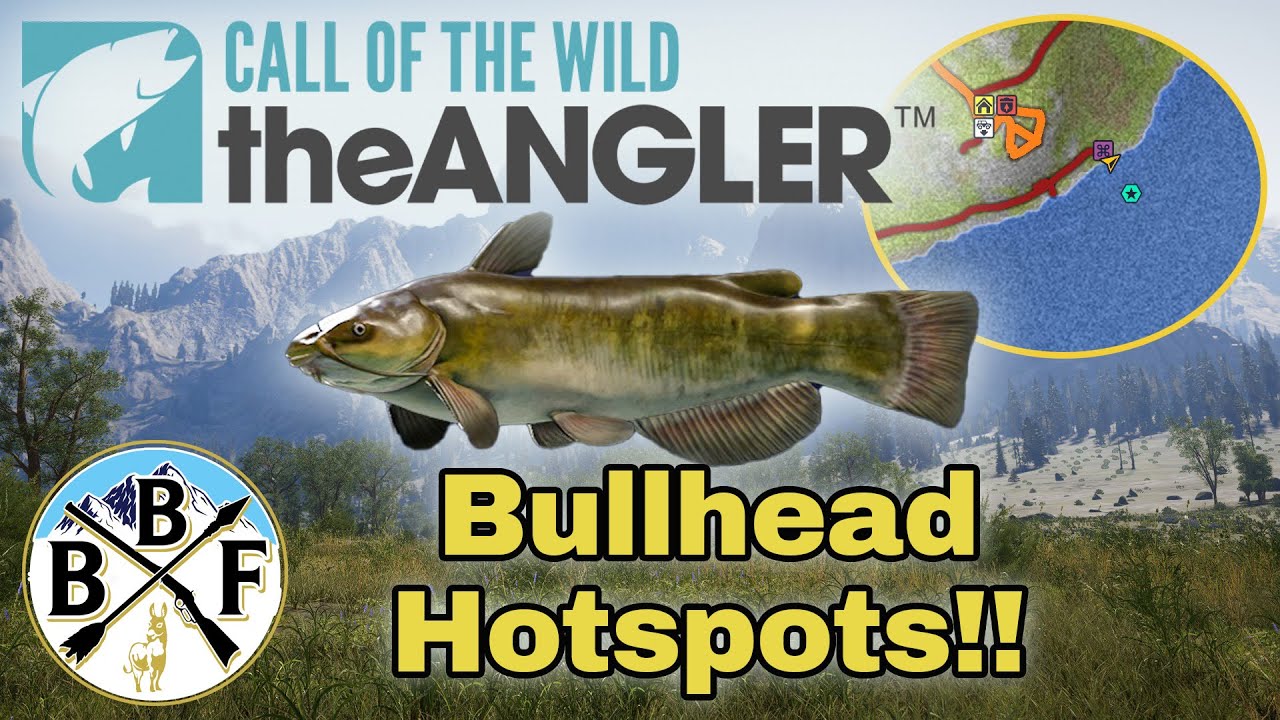 Hotspot Guide Bullhead Catfish Plus Hook Size, Bait and Lure