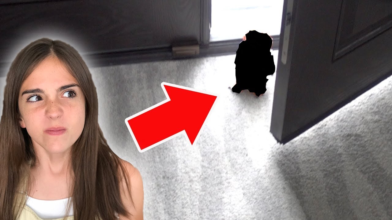 vlogs in spanish THIS INVADED OUR HOME!!