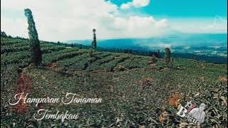 Keindahan Alam Posong Desa Tlahap,Temanggung #Short