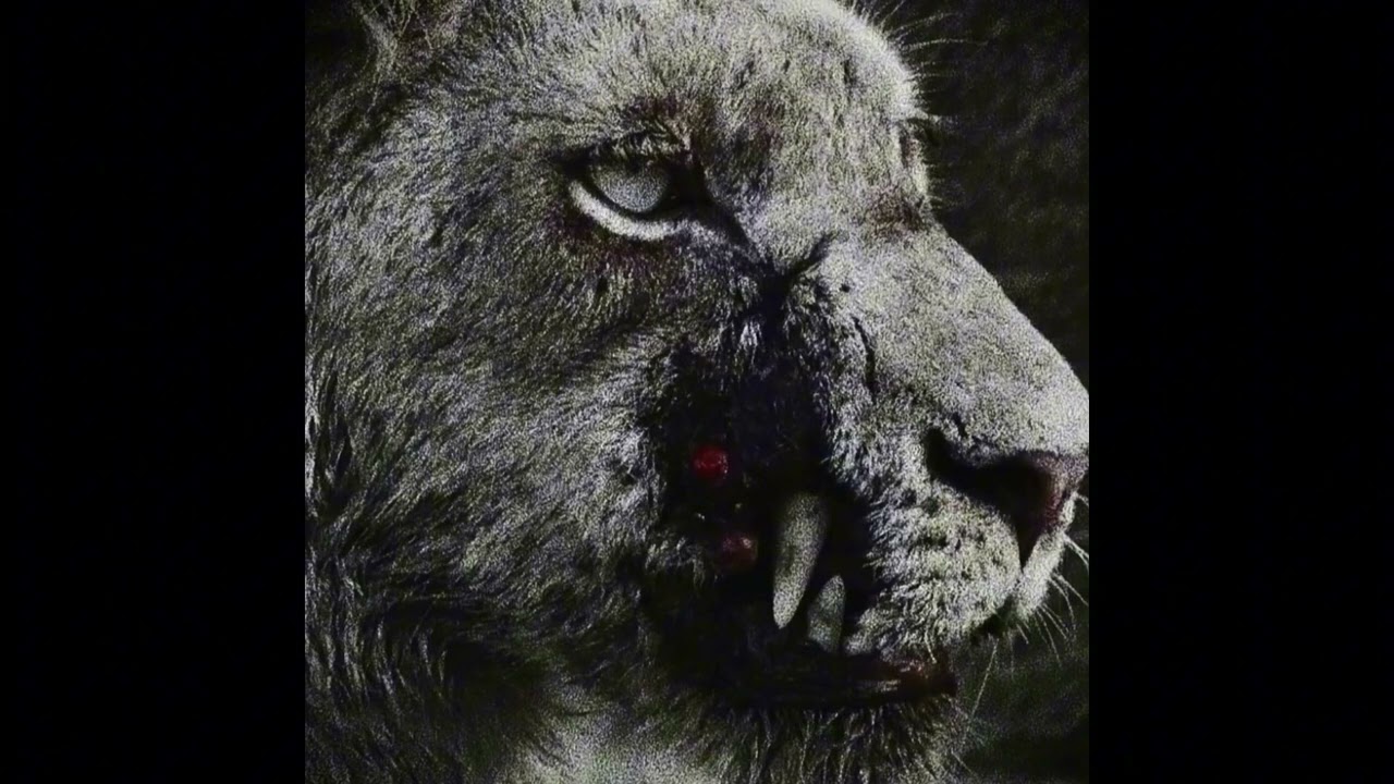 Dark Boom Bap Type Beat - "BANDO" | Old School Type  Beat