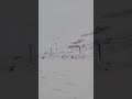 Snow situation at Afriski 10 August 2026