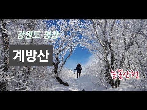 [낚시대마왕] 강원도 평창 계방산 눈꽃 산행 /2020년 마지막 등산