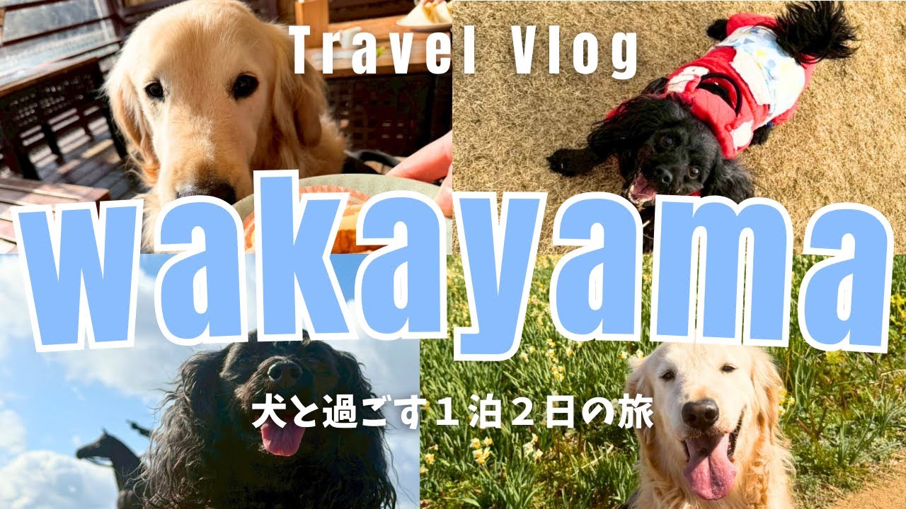 犬と行く1泊2日WAKAYA旅行🚗