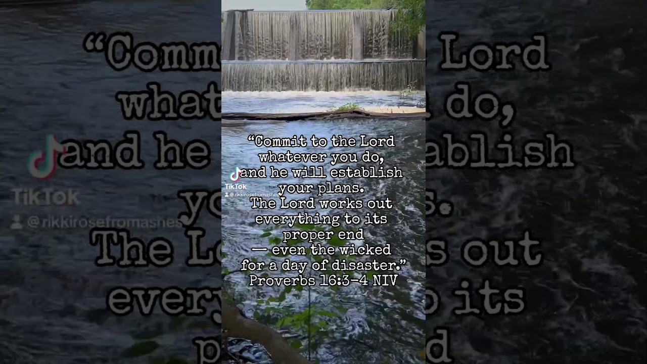 Fearless Summer: Proverbs 16:3-4 