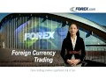 FX Spot Trade Video Bloomberg