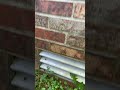 #pestcontrol #Shorts #jp.field.tested
