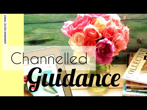 Timeless | CHANNELLED GUIDANCE  | MEANT FOR YOU | COLLECTIVE