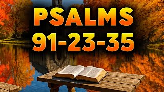 3 Psalms That Surround You With Heavenly Protection – 91, 23, 35