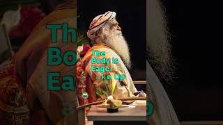 Download Lagu 4 Hours of Sleep Is Enough #sadhguru #ytshorts #sadhgurushorts MP3 Download Lagu 4 Hours of Sleep Is Enough #sadhguru #ytshorts #sadhgurushorts MP3