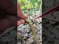 Knife vs Mini Saw Lesson