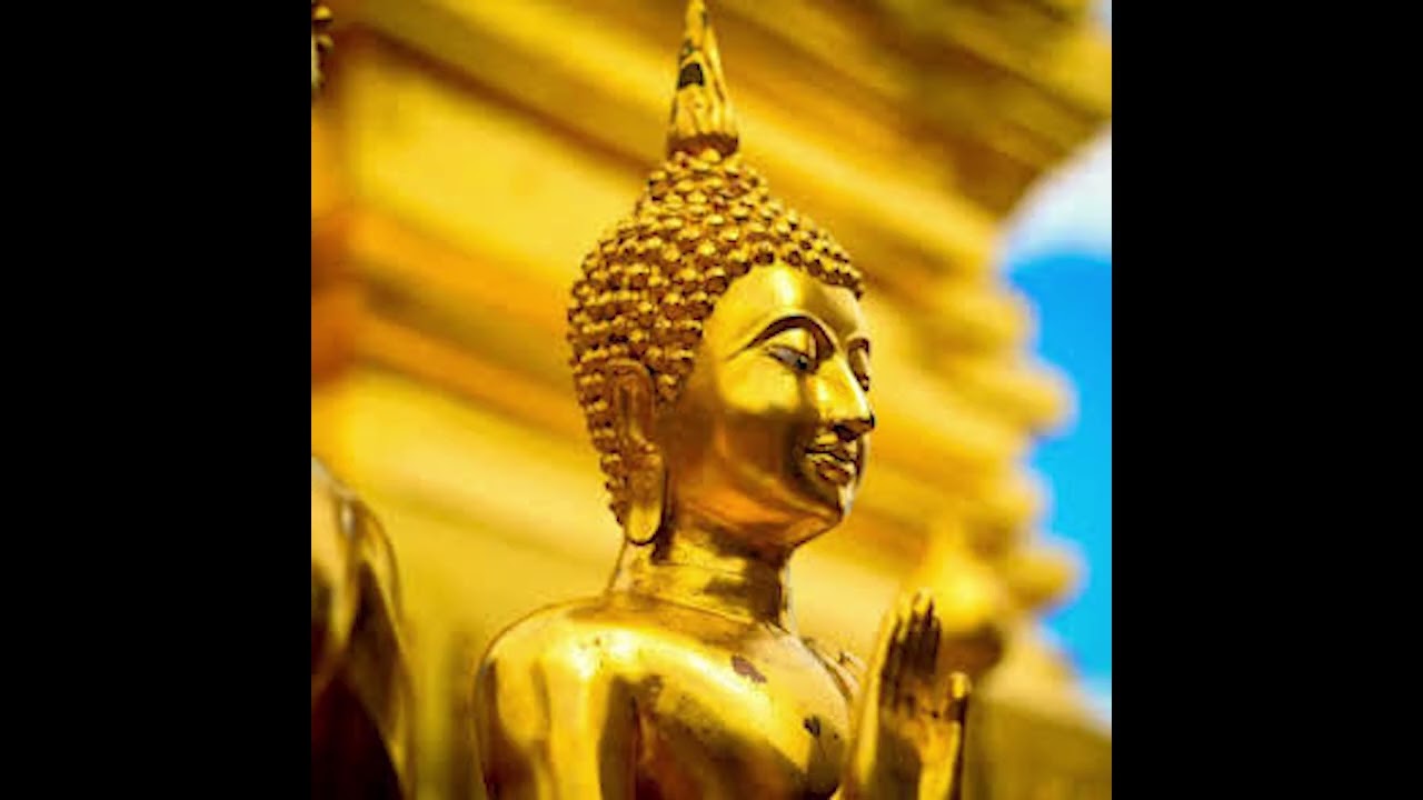 Wonder Meditation 02-10-26