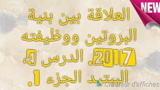 4* العلاقة بين بنية البروتين ووظيفته 2017. الدرس الرابع، الببتيد، الجزء الاول.