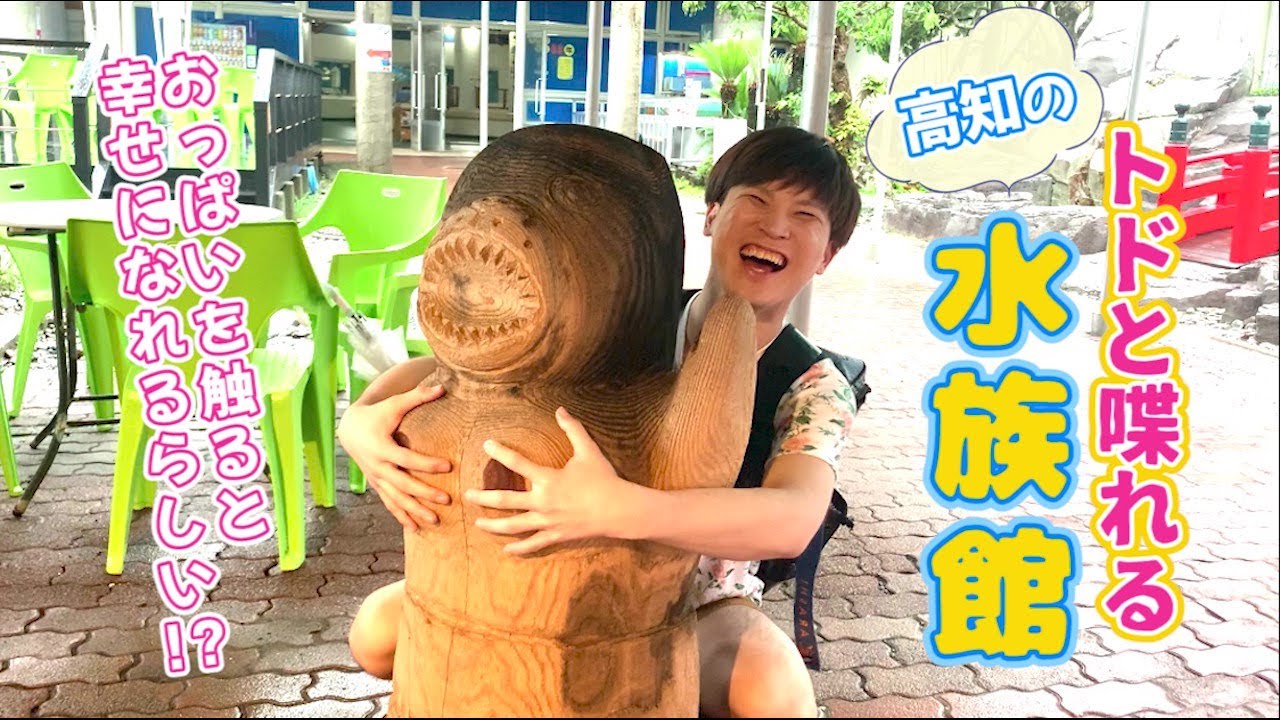 月曜から夜ふかし で紹介された高知県の水族館に行ったら凶暴な亀と喋れるトドに出会った件 桂浜水族館 Kochi Aquarium 一休の日常 Ikkyu 何でも屋さん