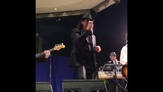 Ldv Of Italy 2013 - Nel Blu Dipinto Di Blu