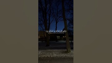 ﴿ رَبِّ هَب لي حُكمًا وَأَلحِقني بِالصّالِحينَ ﴾ سوره الشعراء، ياسر الدوسري #قرآن_كريم #ارح_قلبك