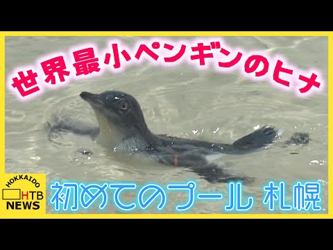 YouTube 動画のサムネイル