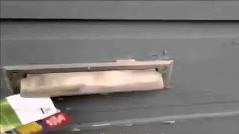 Ferocious Cat Battles the Mailman Through the Mail...