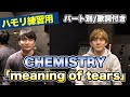 【ハモリ練習用】「meaning of tears/CHEMISTRY」パート別、歌詞付き カラオケで使える!はず!(ハモネプ経験者による実践編)