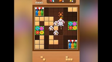 2501022 Block Sudoku _FG017_DS_1000x1000.mp4