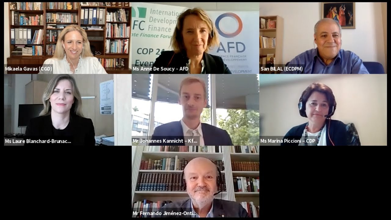 A Conversation on the European Financial Architecture for Development with European DFIs